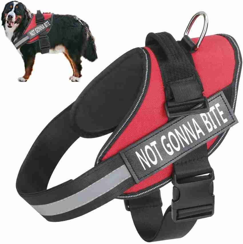 REHTRAD Dog Body Belt for Large Dogs Adjustable Body Belt for Dogs