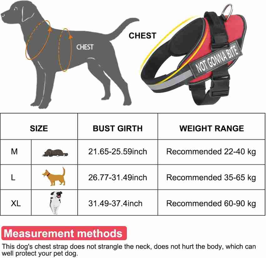 REHTRAD Dog Body Belt for Large Dogs Adjustable Body Belt for Dogs