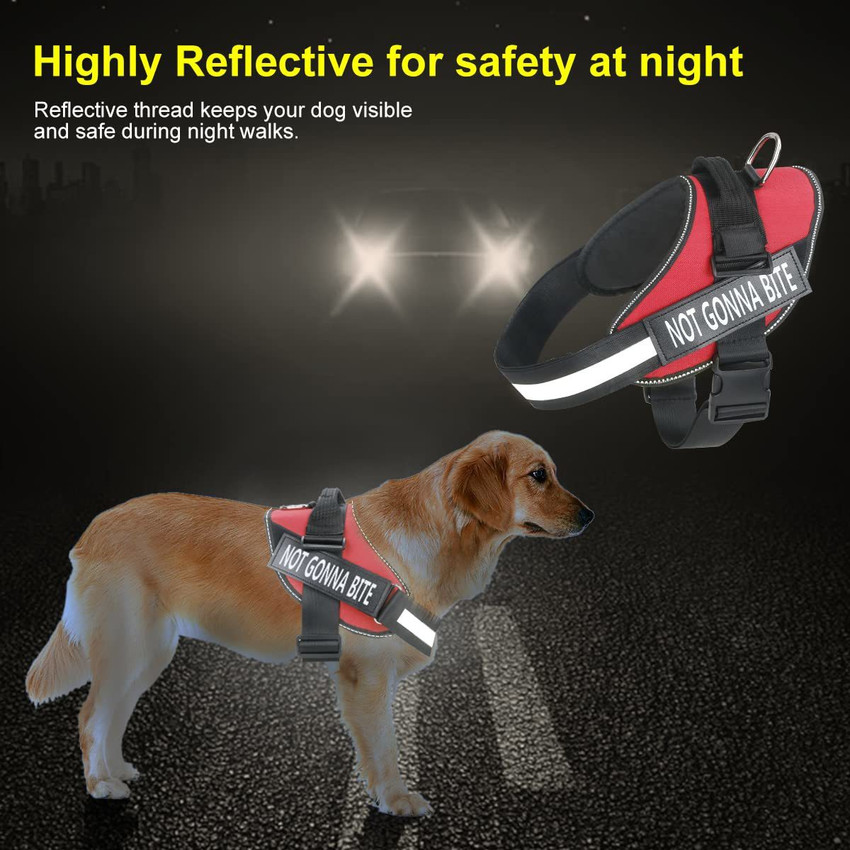 REHTRAD Dog Body Belt for Large Dogs Adjustable Body Belt for Dogs