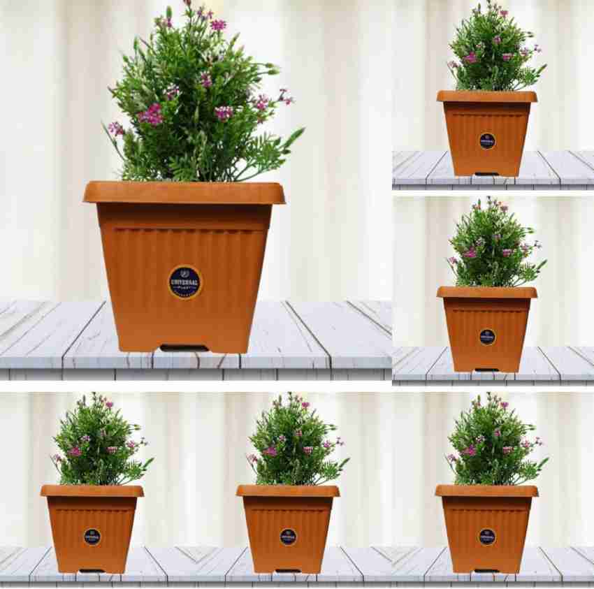 8 in 1 discount pot