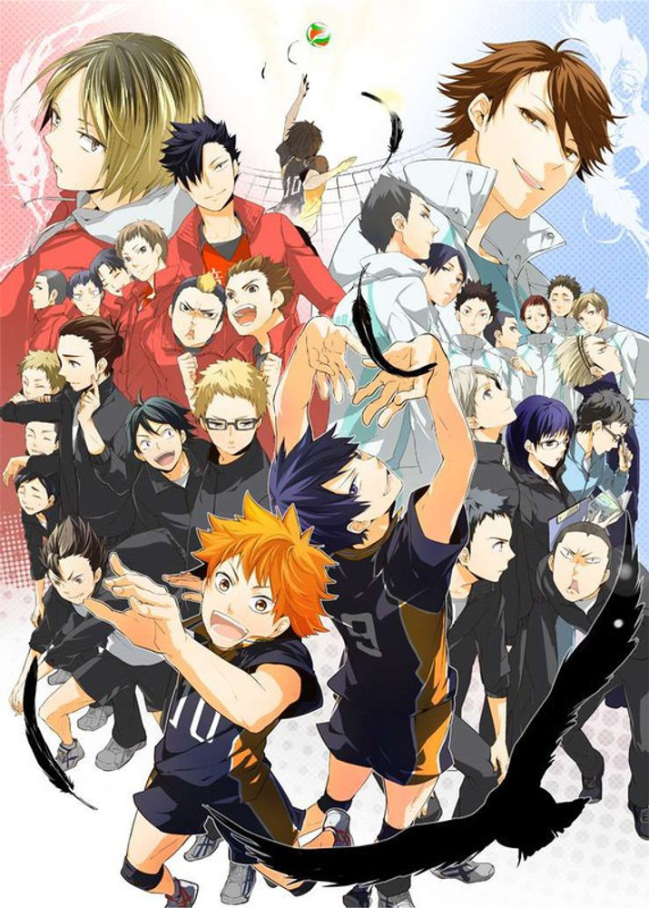 Haikyuu Poster  Daily Anime Art