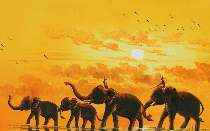 100 Elephant Hd Wallpapers  Wallpaperscom