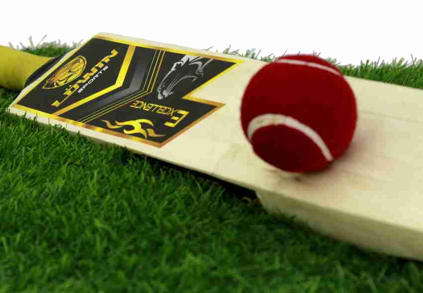 Willow cricket 2025 hd