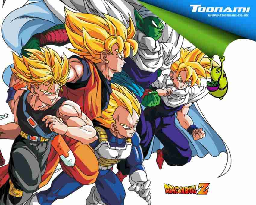 Dragon Ball Z Poster Goku Trunks and Vegeta 12in x 18in Free Shipping