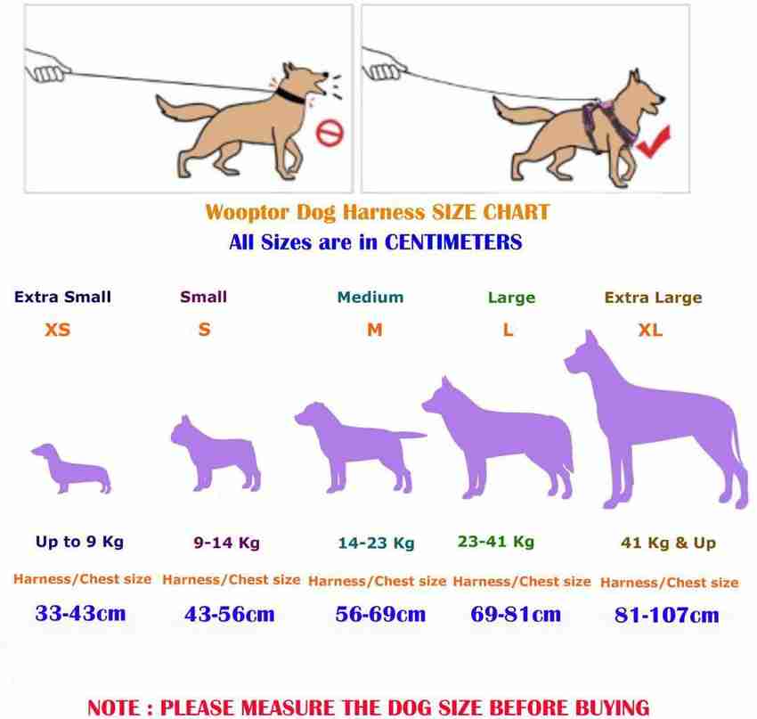 Labrador outlet harness size
