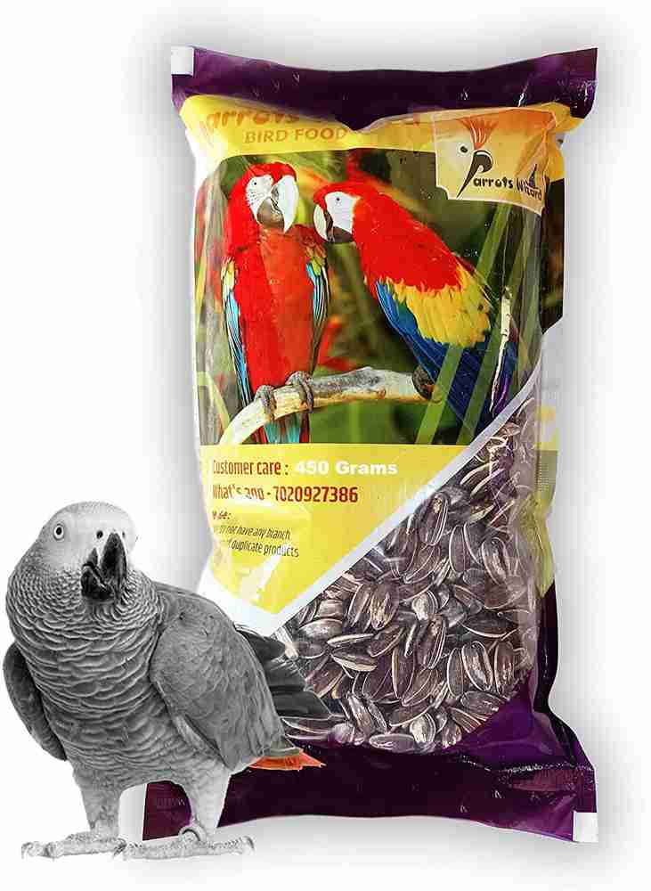 Grey parrot food online