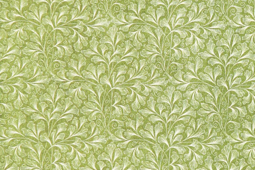 Pin by Cassy Chester on Flowers  Mint green wallpaper Green wallpaper  Mint wallpaper