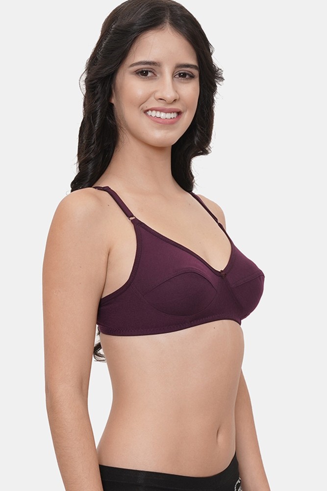 LILY HOSIERY COTTON Ladies Padded Bra, 6 Pcs, Size: 28 To 40 at Rs