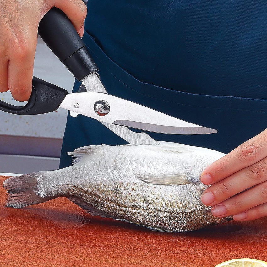 Nexshop Stainless Steel Fish Scissor Price in India - Buy Nexshop