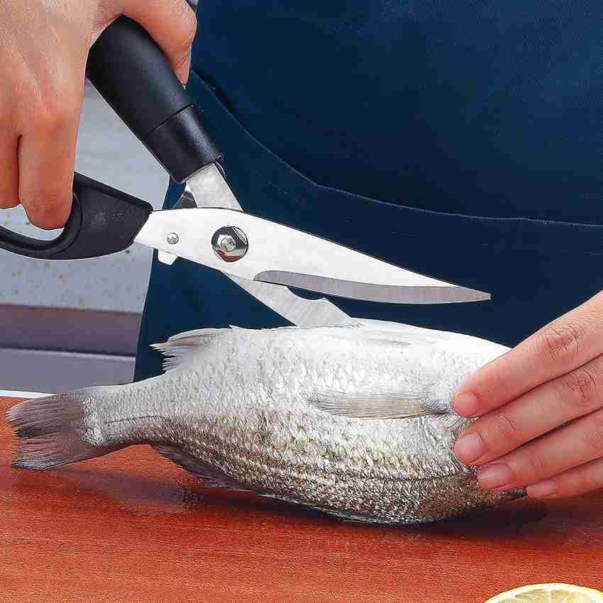 Nexshop Stainless Steel Fish Scissor Price in India - Buy Nexshop Stainless  Steel Fish Scissor online at