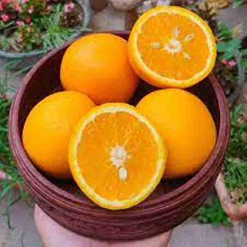 Malta fruit deals