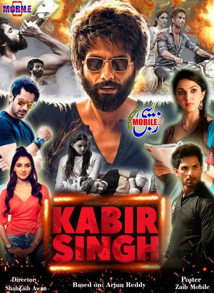 Go movies shop kabir singh