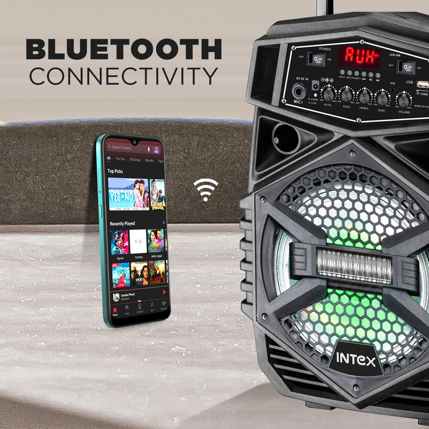 Intex mic speaker deals