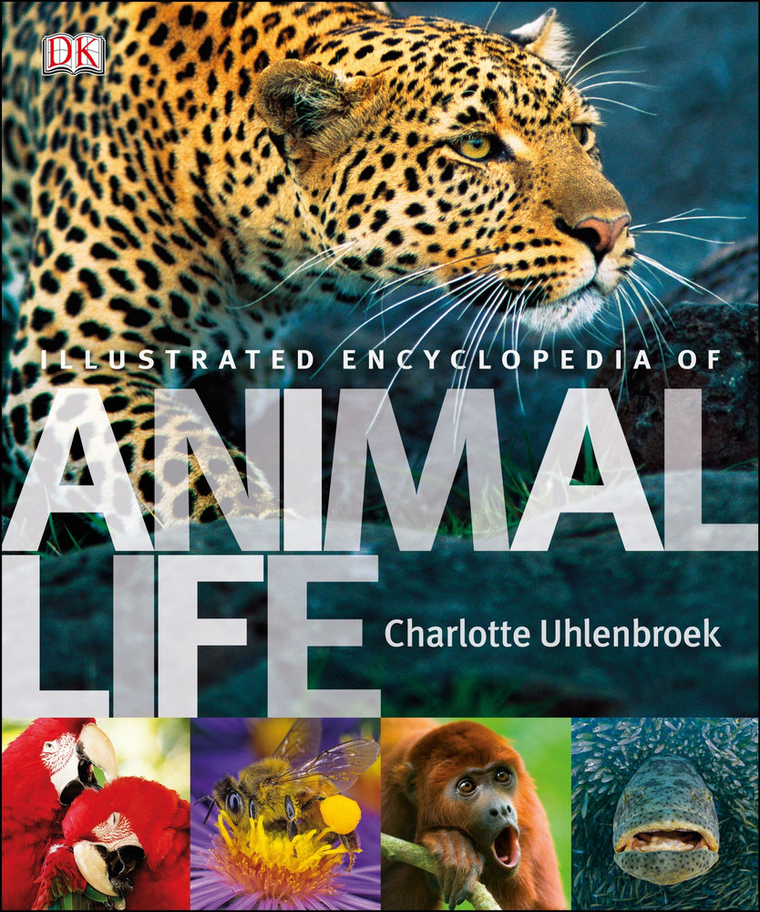 ANIMAL LIFE