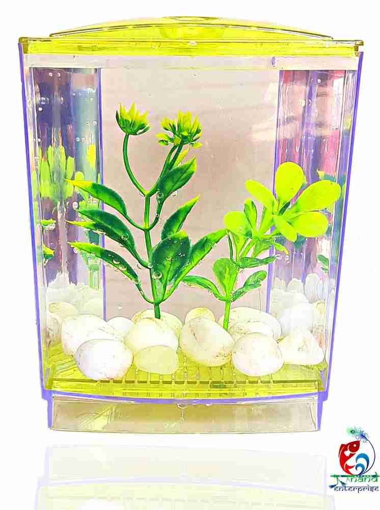 Cat proof store betta tank