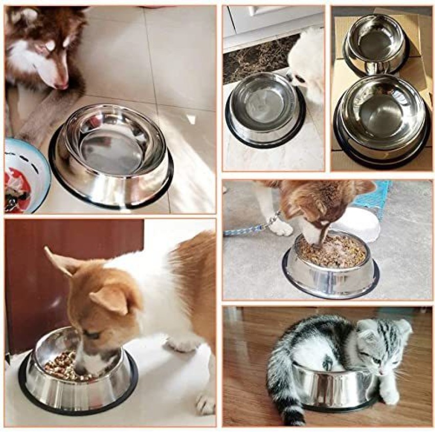 PETS EMPIRE Large Dog Bowl Stainless Steel Dog Bowls Dog Food Bowls Stainless Steel Pet Bowl Price in India Buy PETS EMPIRE Large Dog Bowl Stainless Steel Dog Bowls Dog Food Bowls Stainless