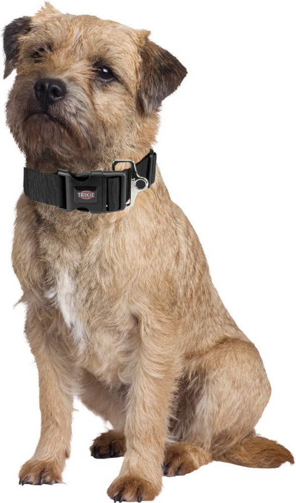Trixie dog leash top