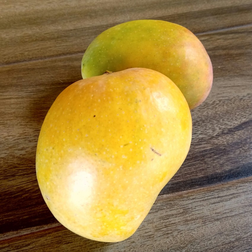 alphonso mango price