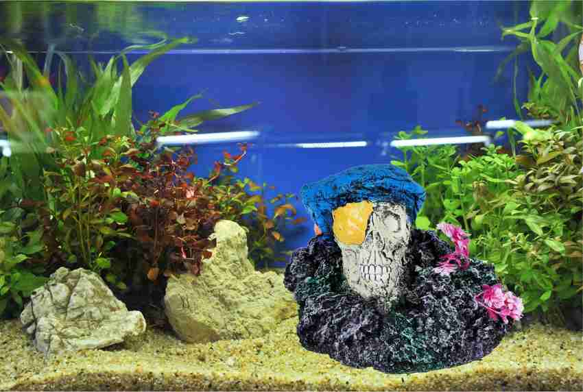 Underwater river deals aquarium ornament