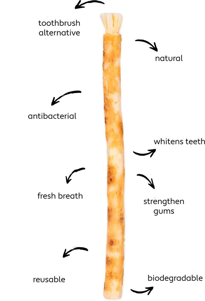 Miswak hotsell