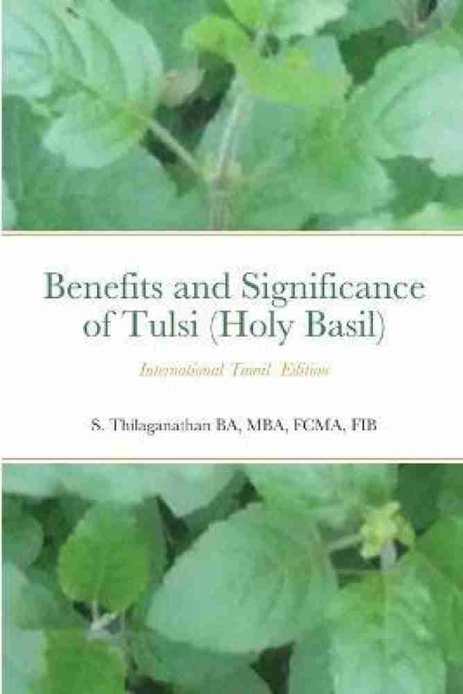 Benifie and Significance of Tulsi Holy Basil Buy Benifie and