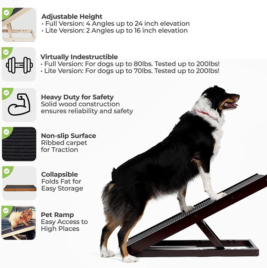 Dogs up ramp hotsell