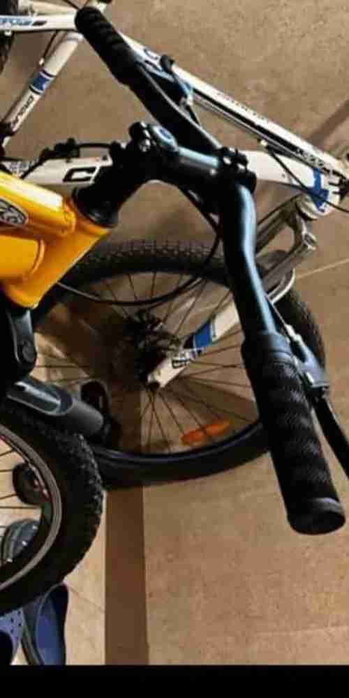Gearless cycle sales price