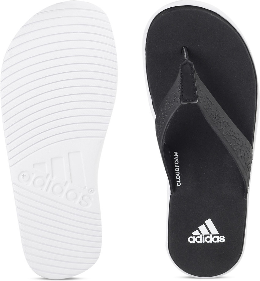 adidas beachcloud cf y