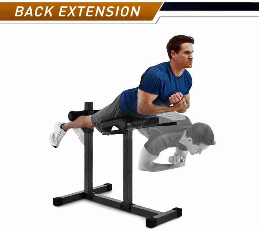 Sunny Health & Fitness Hyperextension Roman Chair Machine Back