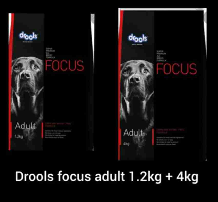 Drools focus outlet adult