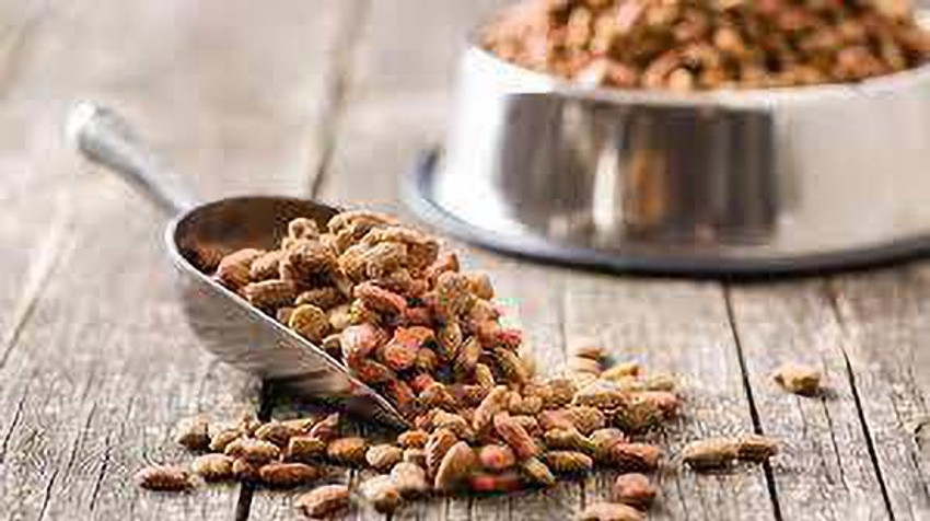Dog food stater bros sales
