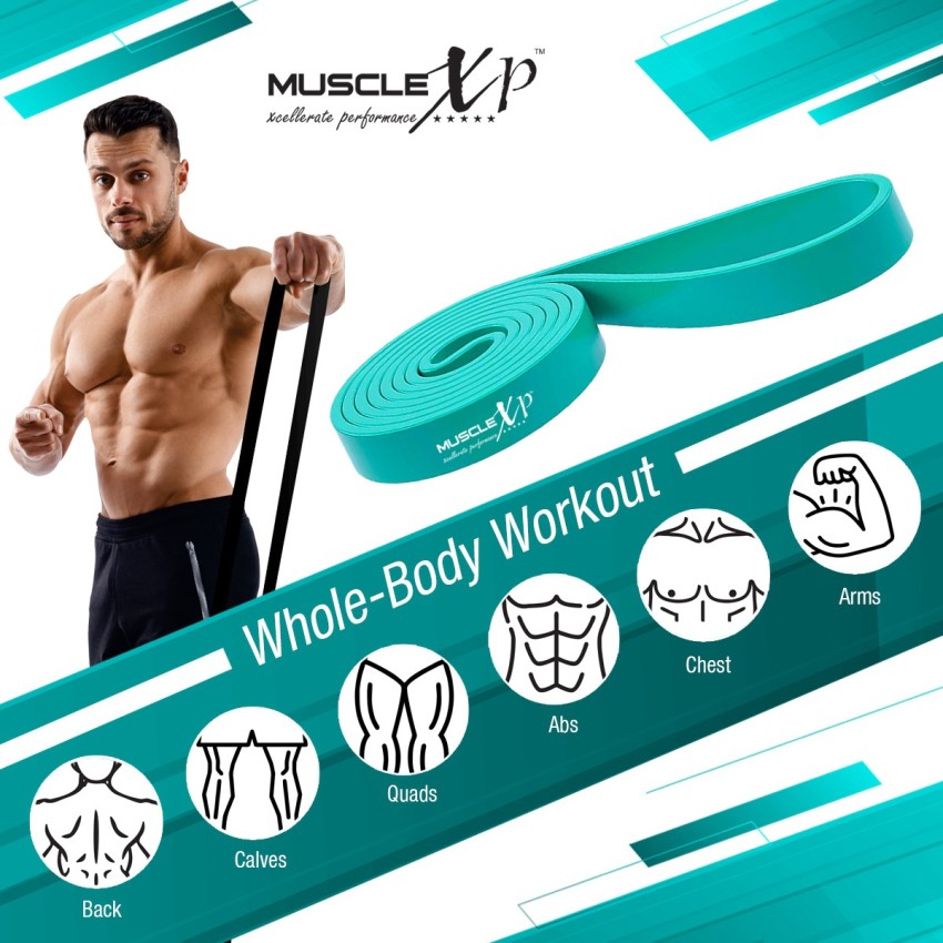 Buy MuscleXP DrFitness+ Resistance Loop Band Set of 5, Exercies Bands For  Men & Women, Legs, Yoga, Body Bilding, Stretching, Toning Workout, Squats  Exercise Usable in-Home & Gym Online at Best Prices