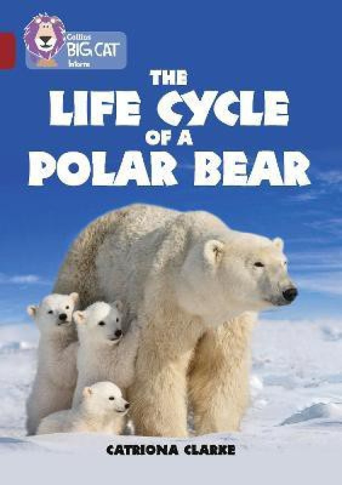 Buy The World of the Polar Bear Book Online at Low Prices in India