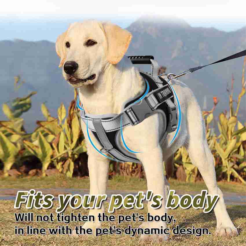 Puppy body belt top