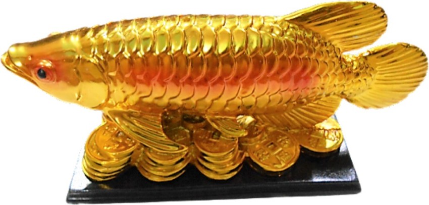 SSS Enterprisses A Feng Shui Decorative Golden Colored Fish with Money  Chain for Decoration Decorative Showpiece - 9 cm Price in India - Buy SSS  Enterprisses A Feng Shui Decorative Golden Colored