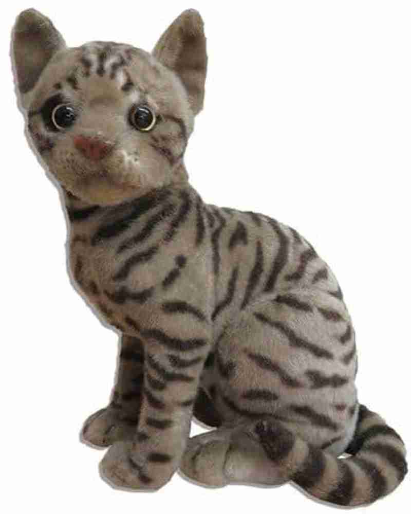 Plush new arrivals tabby cat