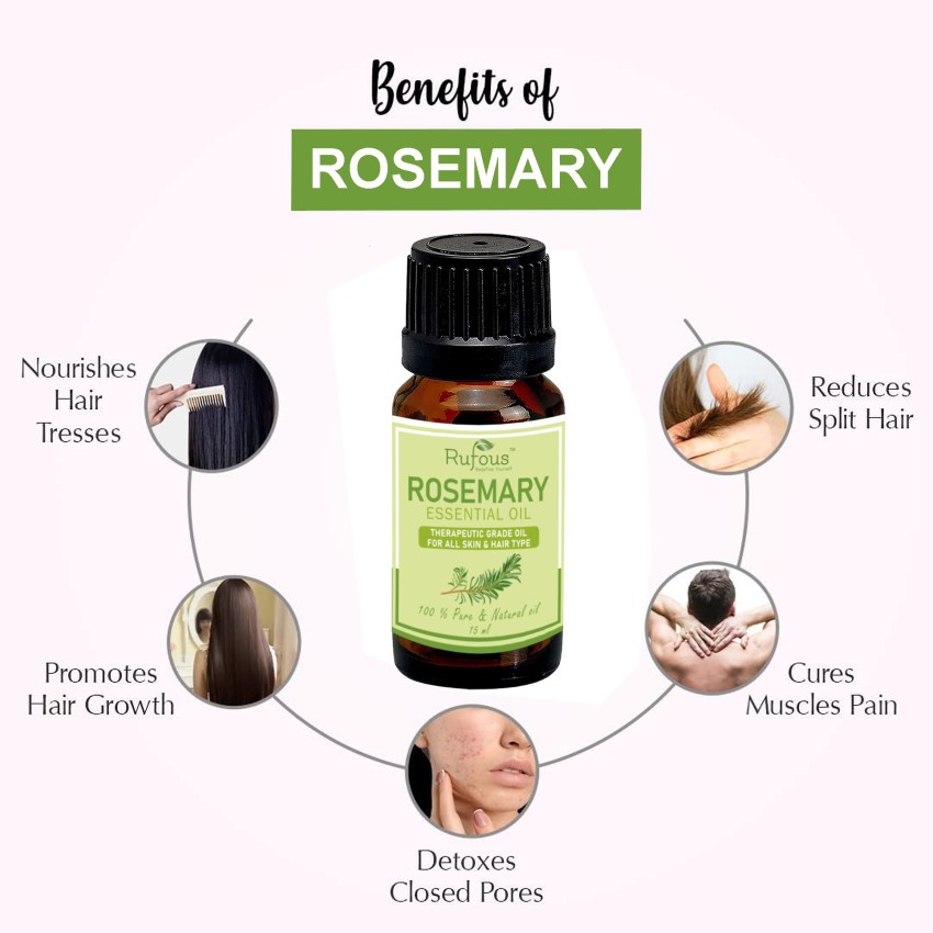 Rosemary Oil Pure Rosemary Essential Oil Rosmarinus Officinalis 100% Pure  and Natural Steam Distilled Therapeutic Grade by R V Essential 