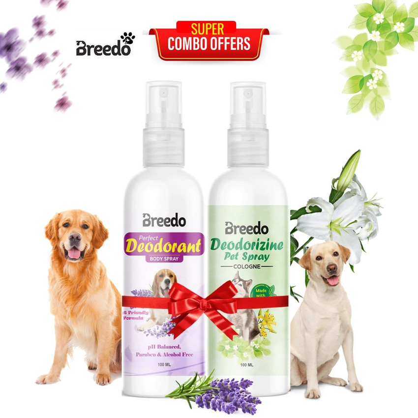 Best dog deodorizer discount