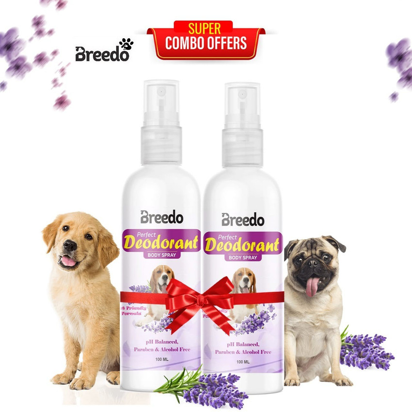 Best 2025 dog deodorant