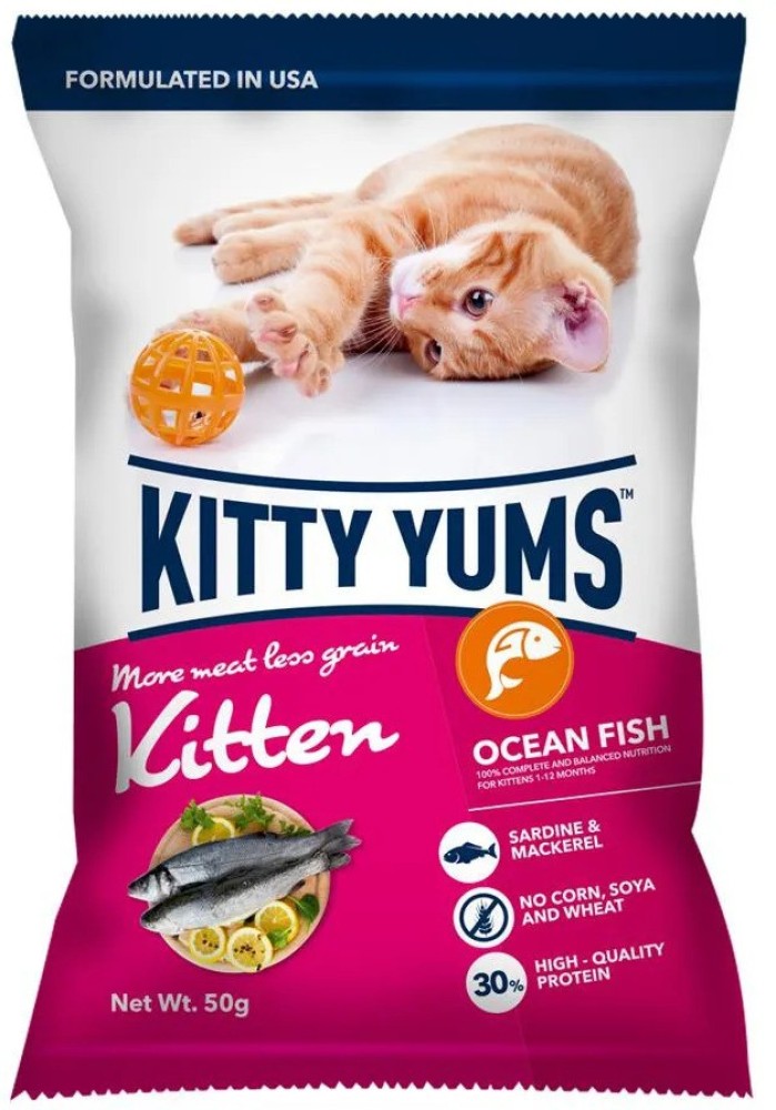 Kitty yums 2025