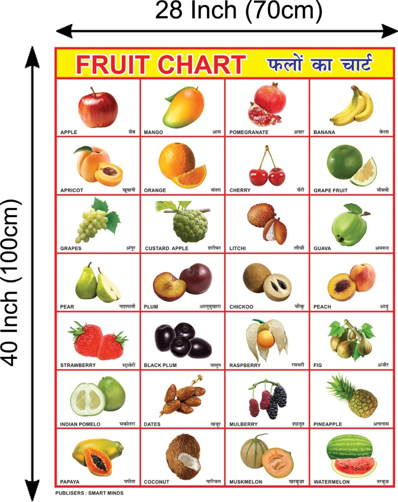 Combo of 2 Chart Fruits & Animals Chart For Kids | 28x40Inch ...
