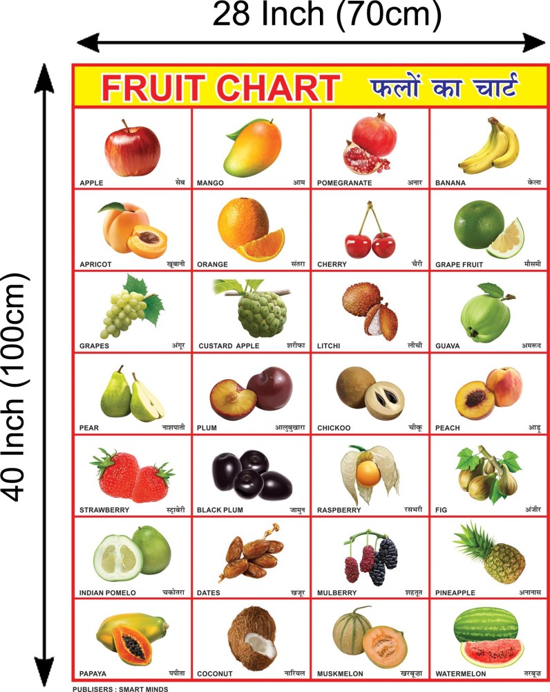 Top 999+ fruits chart images – Amazing Collection fruits chart images Full 4K