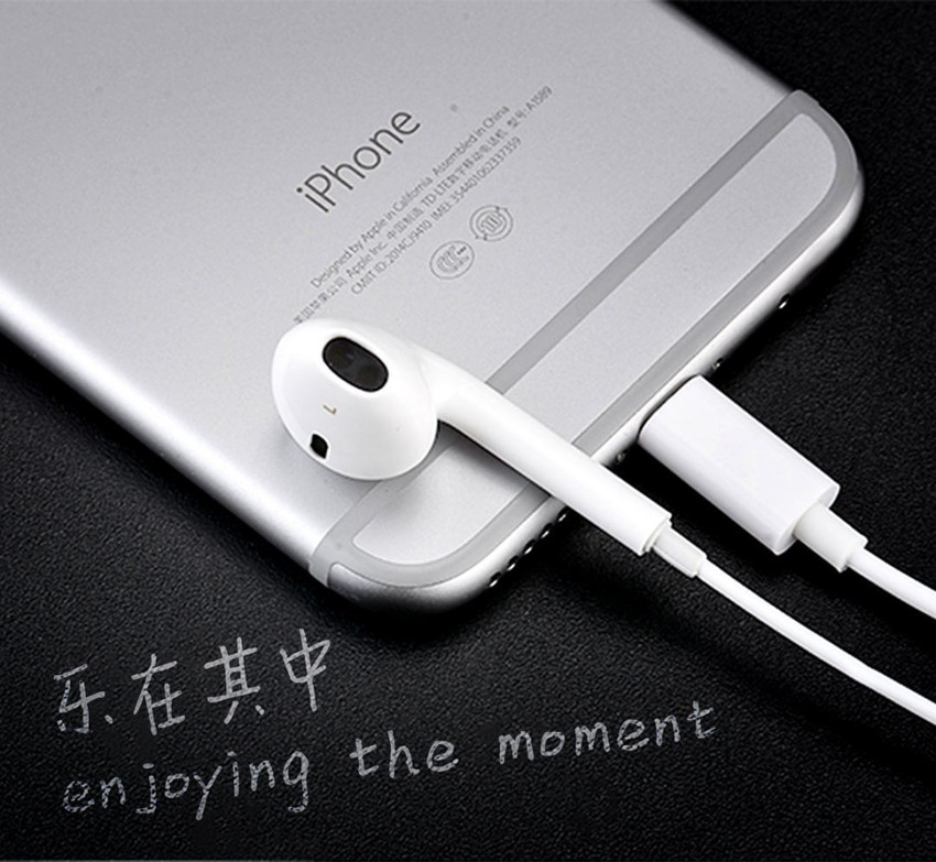 DUDAO U1 Lightning Earphones Compatible for iPad iPhone Headphones
