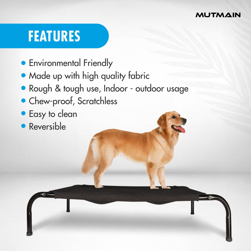 Raised dog top bed kmart