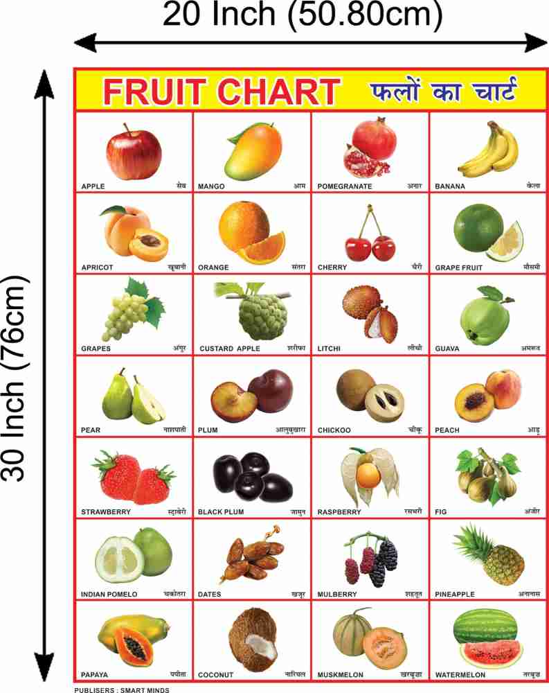 Combo of 6 Chart | Fruits, Birds, Animals, English Alphabet, Hindi ...