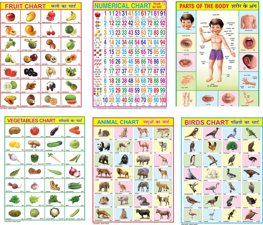 Combo of 6 Chart, Animals, Birds, Fruits, Vegetables, Numerical Chart &  Parts of the Body Chart For Kids, 28x40Inch (70x100cm), Laminated chart