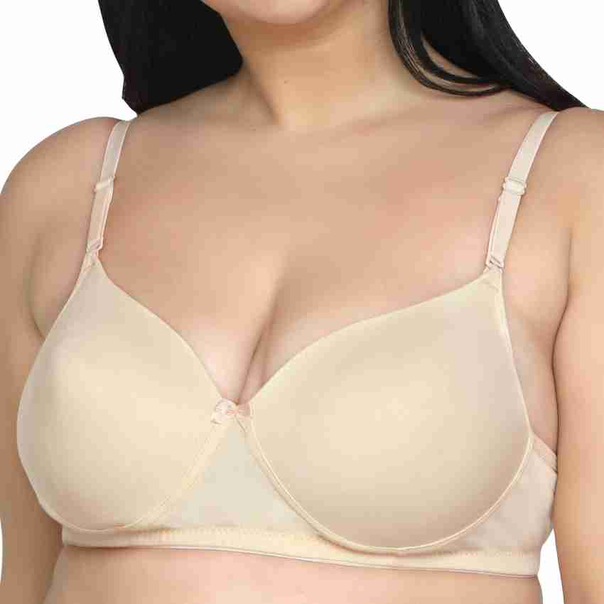 Plain Cotton Blend Maroon Padded Bra at Rs 170/piece in Ahmedabad