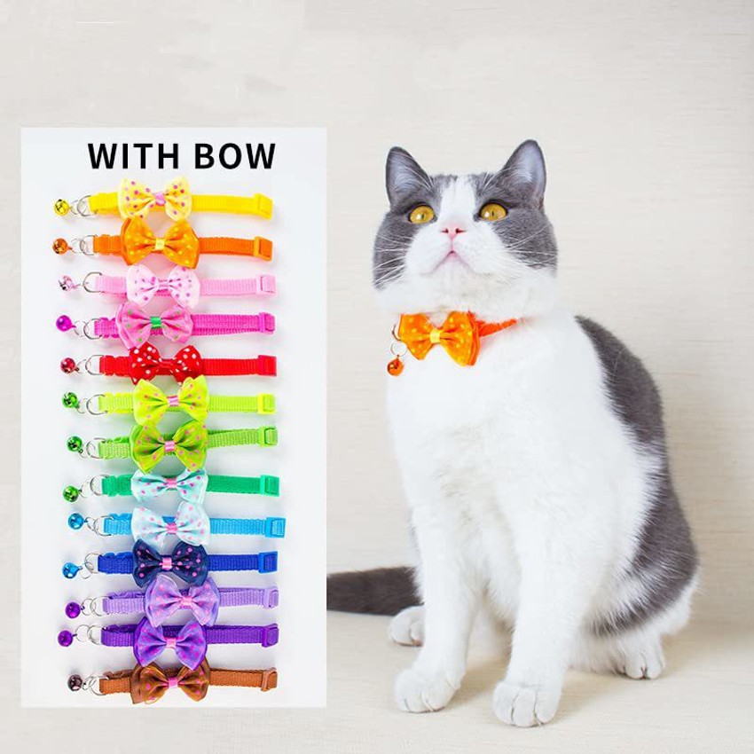 Cat collar charm top