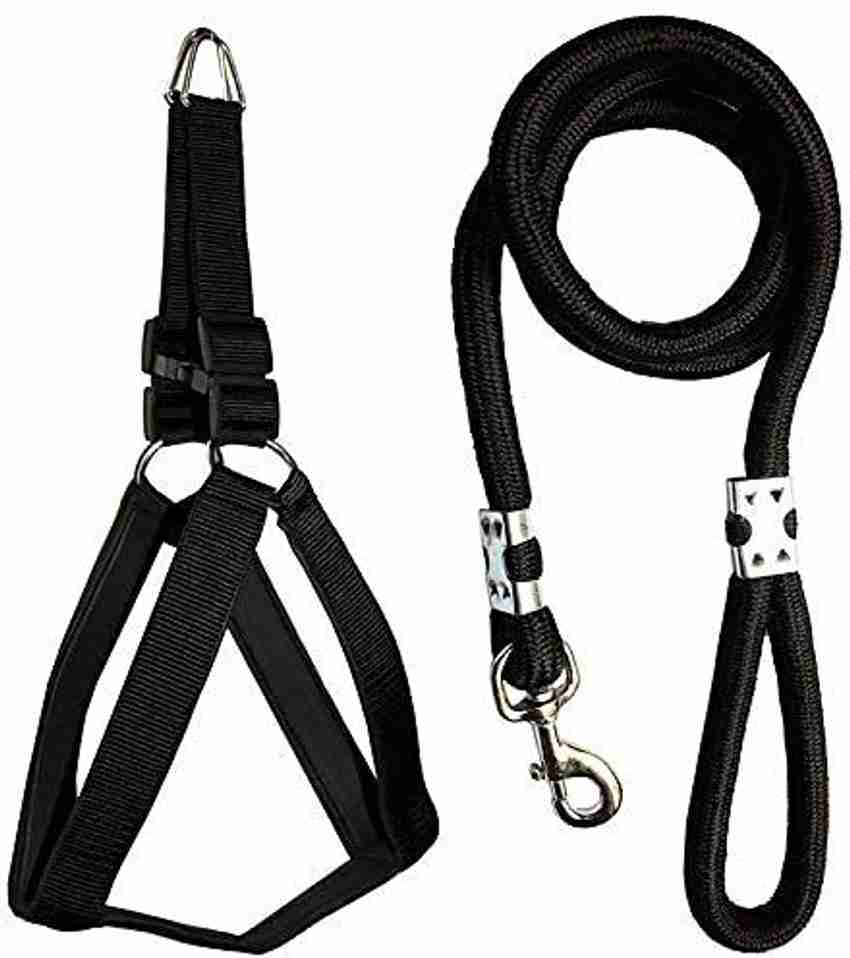 Large dog harness and leash set on sale