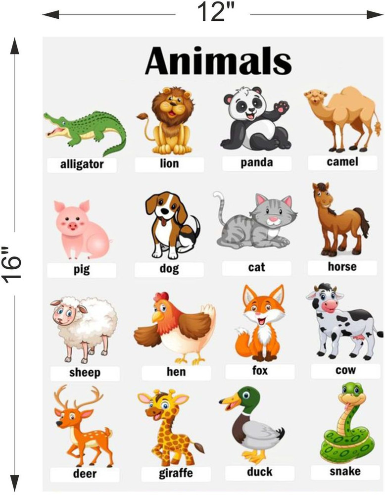 all animals names